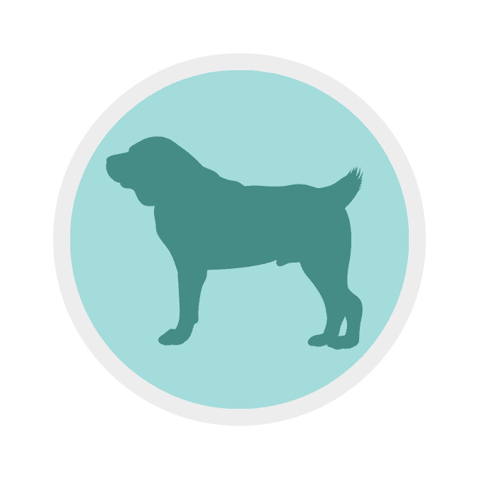 Large Dog Icon