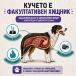 BARF - Свинско - Image 7