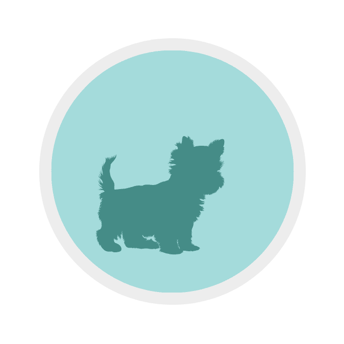 Small Dog Icon