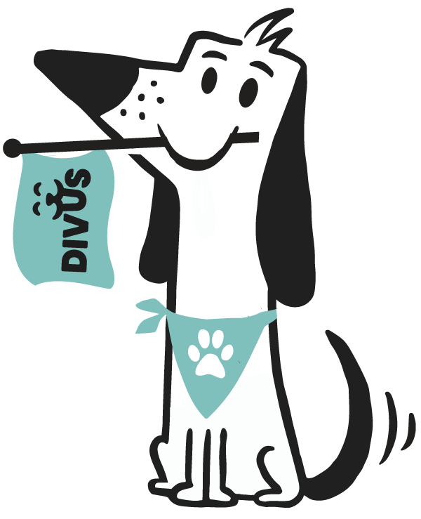 divus mascot t