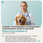 Костен бульон - Телешко - Image 5