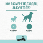 Подаръчен комплект за кучета Divus с играчки и лакомства за дъвчене - Image 2