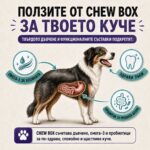 Абонаментна кутия с натурални лакомства за кучета Divus Chew Box - Image 6