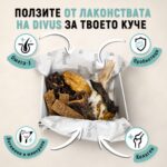 Абонаментна кутия с натурални лакомства за кучета Divus Chew Box - Image 3