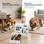 Абонаментна кутия с натурални лакомства за кучета Divus Chew Box - Image 4