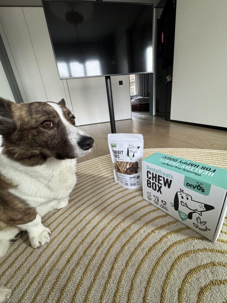 Абонаментна кутия с натурални лакомства за кучета Divus Chew Box photo review