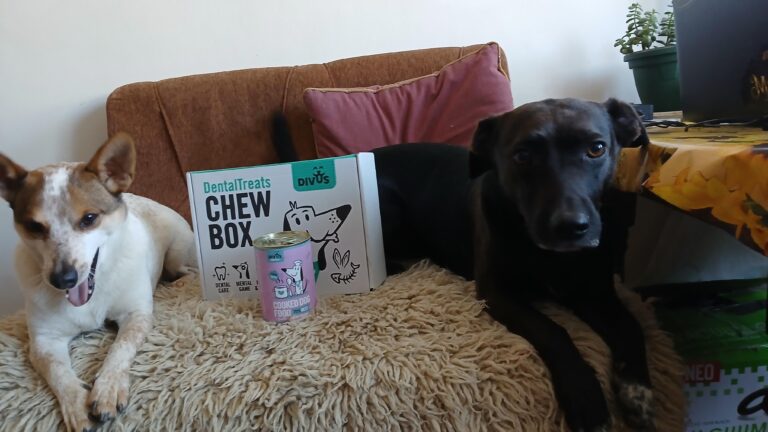 Абонаментна кутия с натурални лакомства за кучета Divus Chew Box photo review