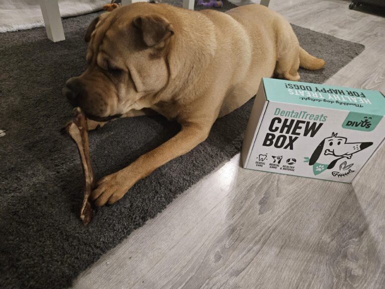 Абонаментна кутия с натурални лакомства за кучета Divus Chew Box photo review