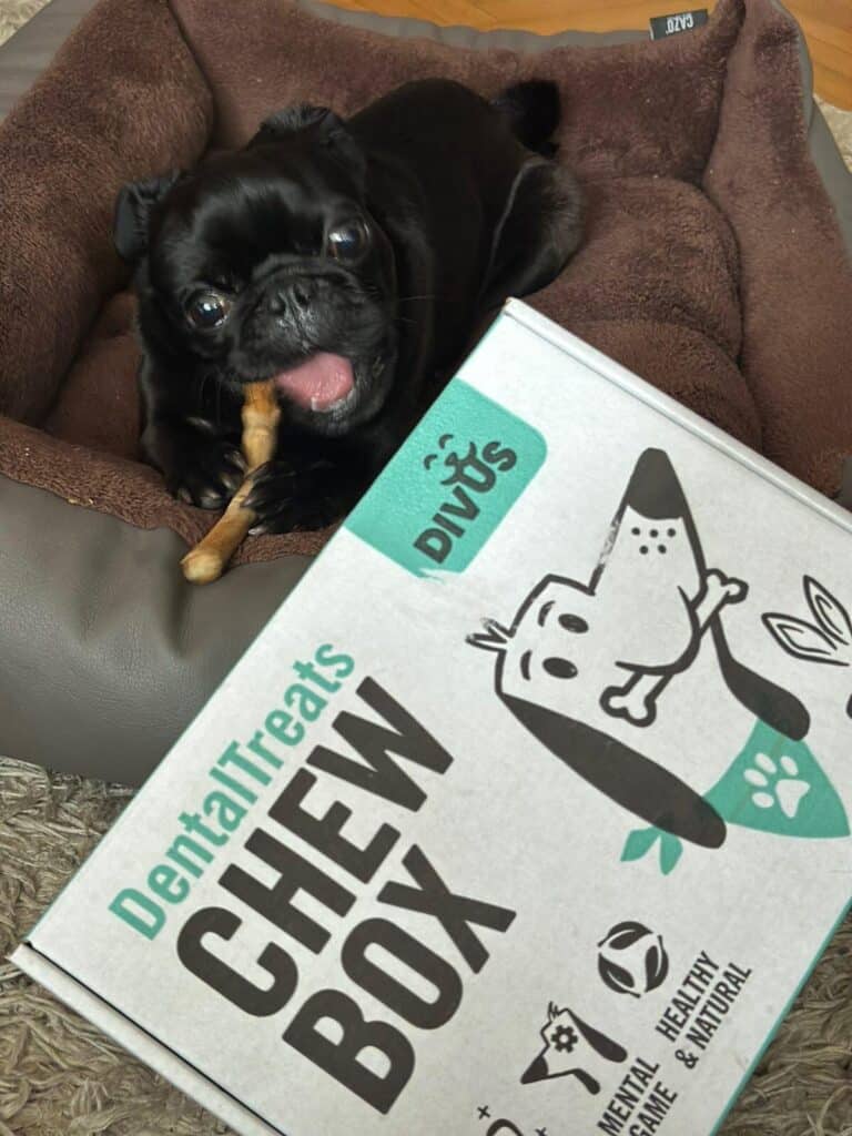 Абонаментна кутия с натурални лакомства за кучета Divus Chew Box photo review