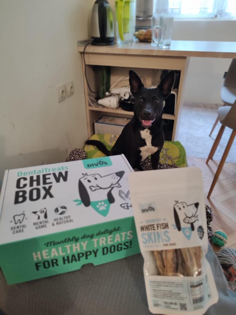 Абонаментна кутия с натурални лакомства за кучета Divus Chew Box photo review