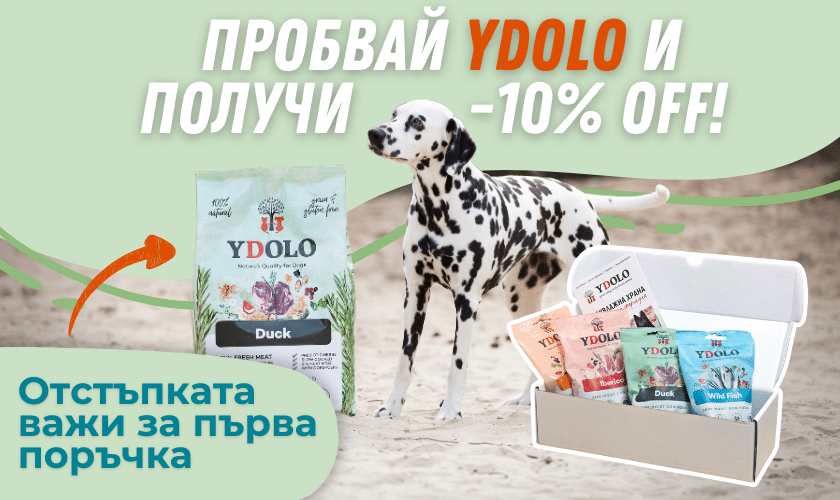 ydolopromo