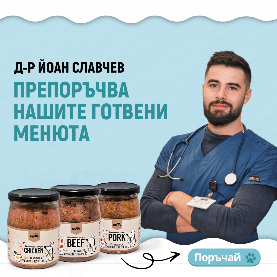 doktor ioan slavchev