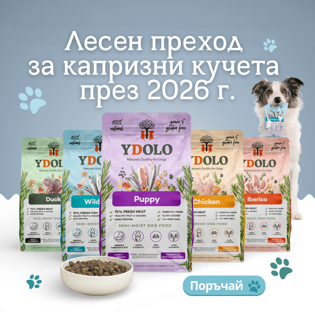 ydolo healthy menus mb