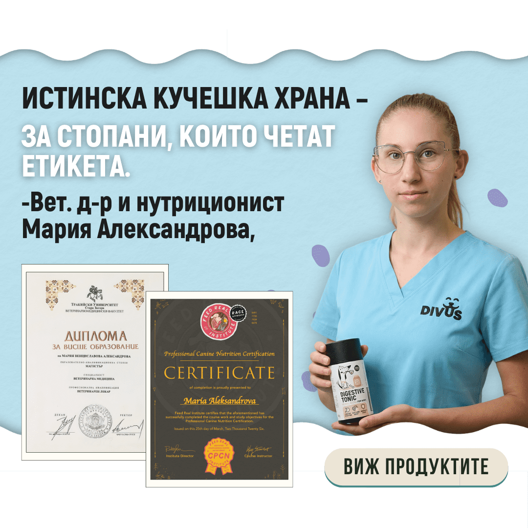 HOMEPAGE BANNER Sqeare 1vet.cert