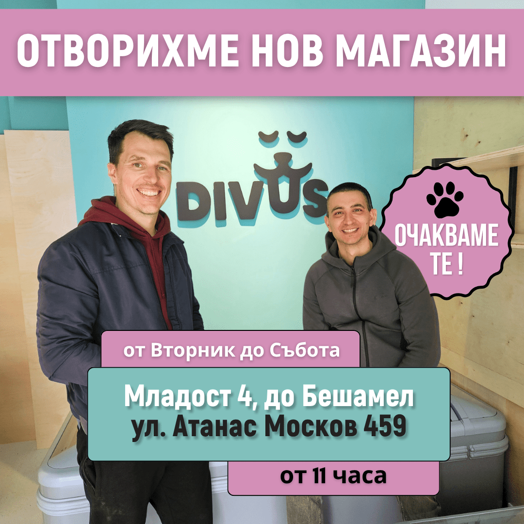 Homepage banner square до Бешамел