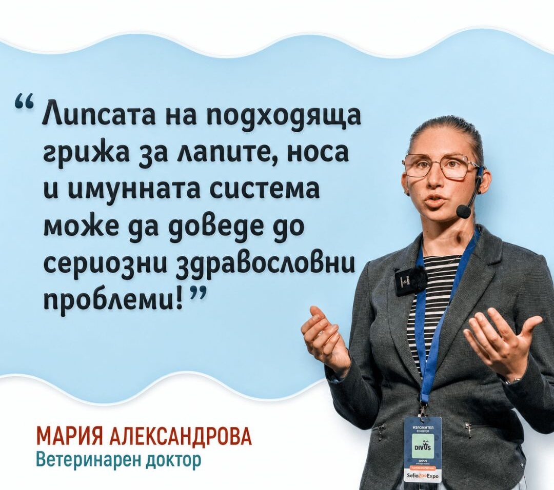 Лятна защита за лапите и носа на кучето
