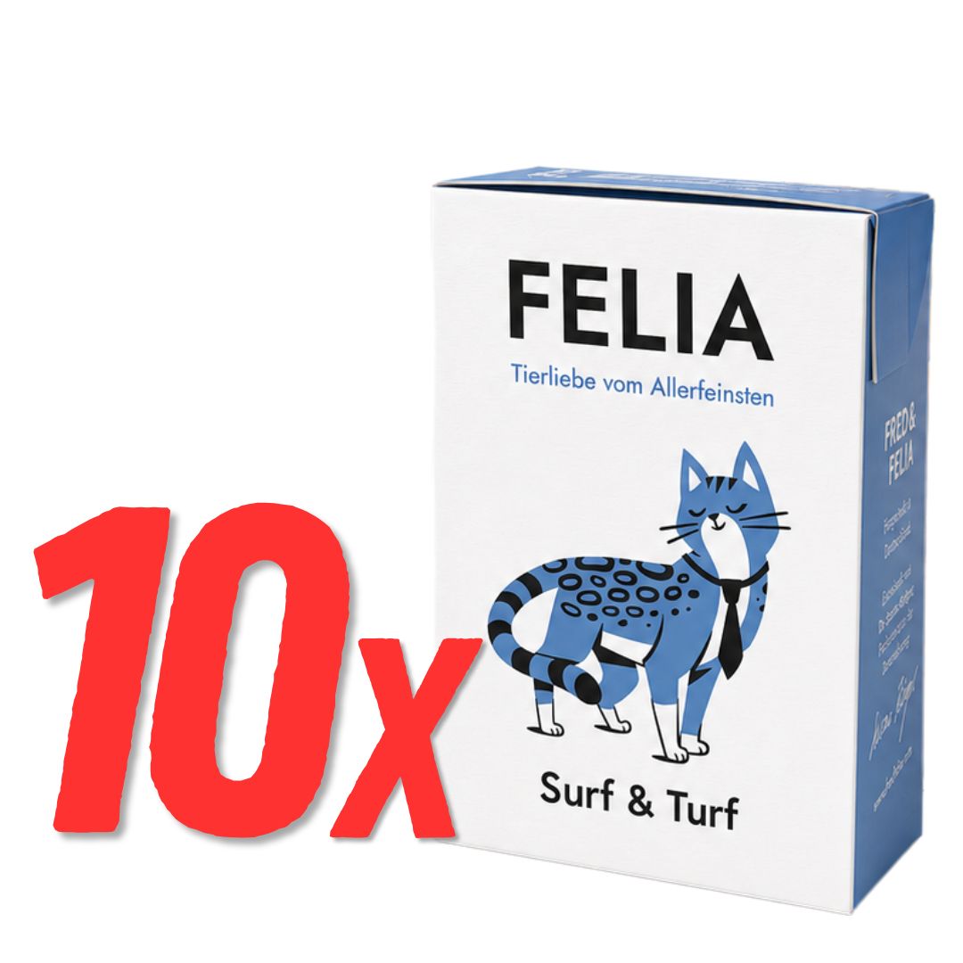 FELIA меню – 10 броя